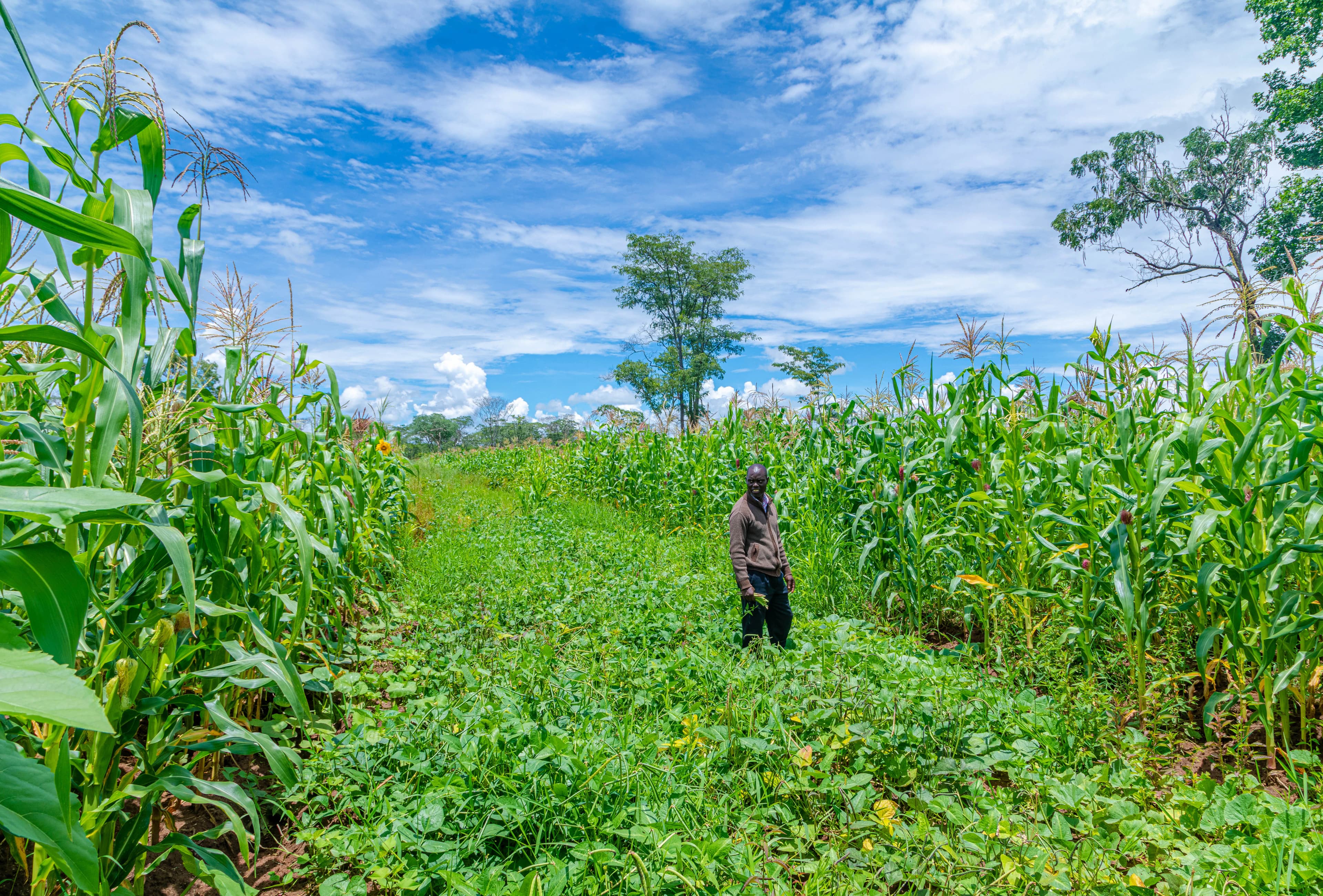 Sustainable Livelihoods and Community Empowerment featured photo